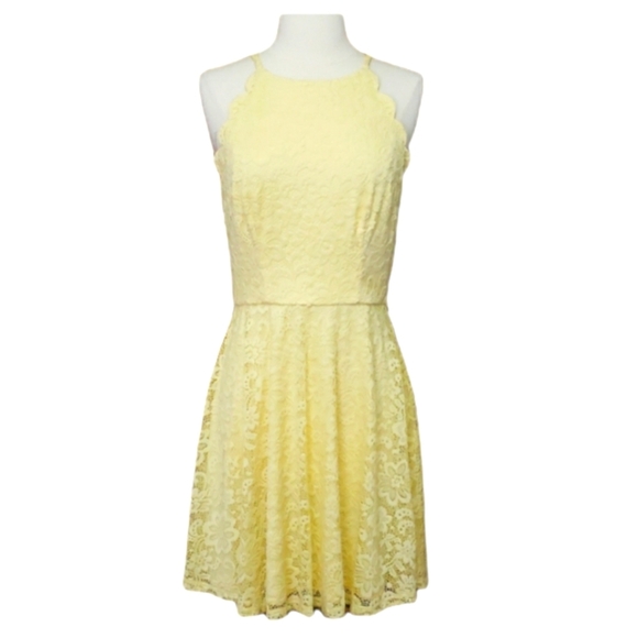 Lace Halter Fit & Flare Dress - Picture 1 of 6